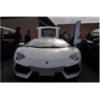 201411MAIKO (70).JPG